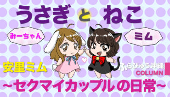 うさぎとねこ 〜セクマイカップルの日常〜 3