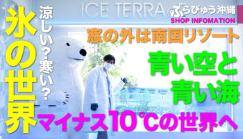 ICE TERRA©E（豊見城市）