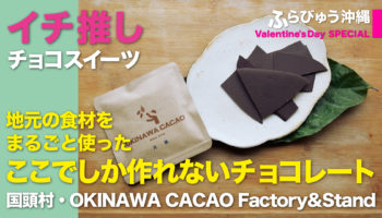 OKINAWA CACAO Factory&Stand（国頭村）